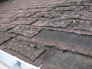 Amount of Cracked or Missing Shingles