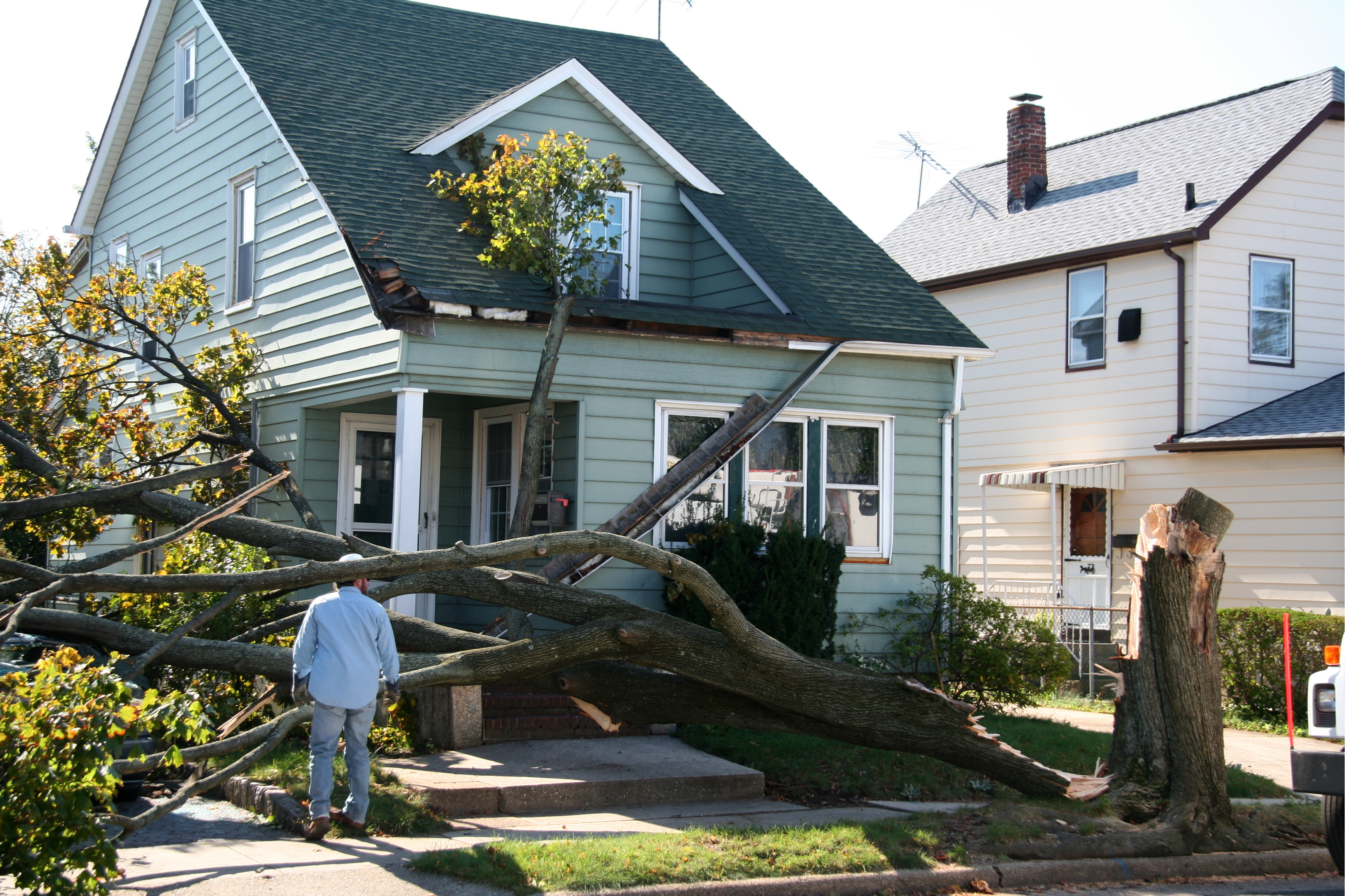 A home with damaged roofing and siding from a falling tree