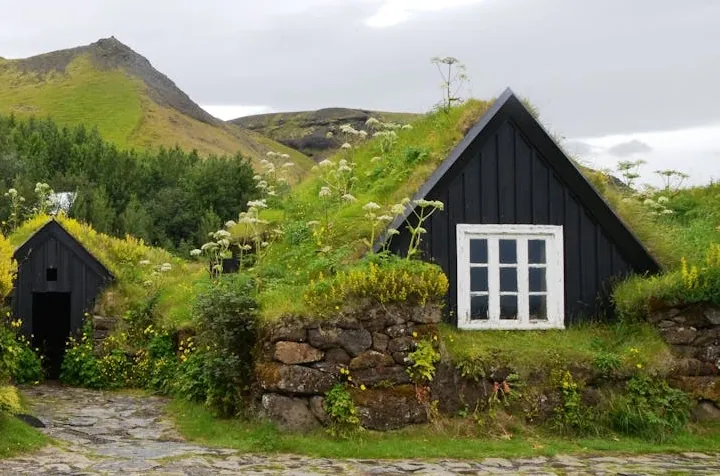 Green Roof